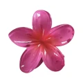 kollale (28).png