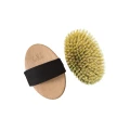 kollale - 2024-06-14T002840.774.png