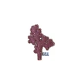 kollale (29).png