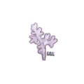 kollale (31).png