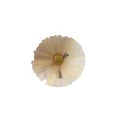 kollale - 2024-06-21T224240.089.png