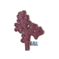 BABY I love sea purple coral .jpg