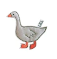 BABY goose.jpg